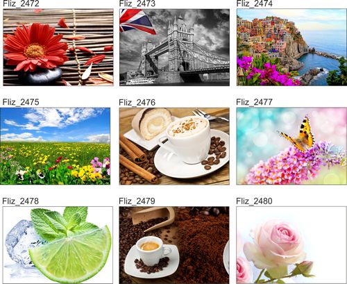 FOTOTAPETA CYTRUSY GREJPFRUTY CYTRYNY LIMONKI na Arena.pl