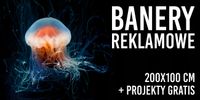 druk BANERY REKLAMOWE PLANDEKA oczkowane 200x100 cm projekt w cenie