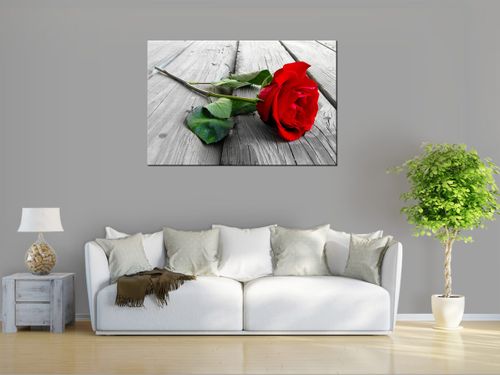 Obraz drukowany na płótnie canvas 120x80 + GRATIS na Arena.pl