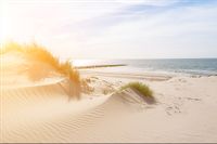 Fototapeta 3D Plaża MORZE Wydmy Piasek do Salonu 180x120