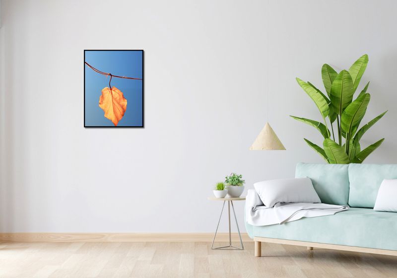 Plakat 50x65cm Ostatni Liść zdjęcie 4