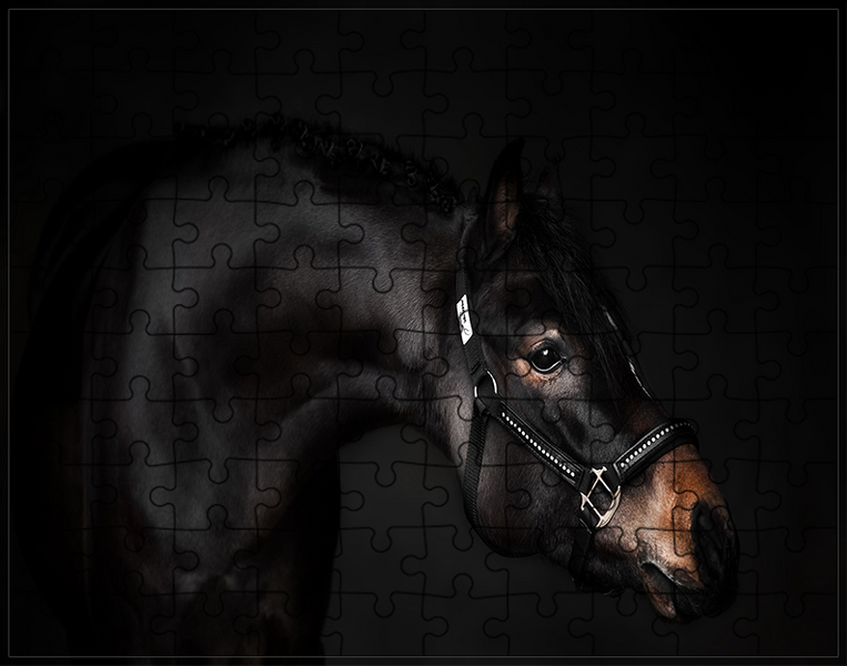 Puzzle Konie zdjęcie 1