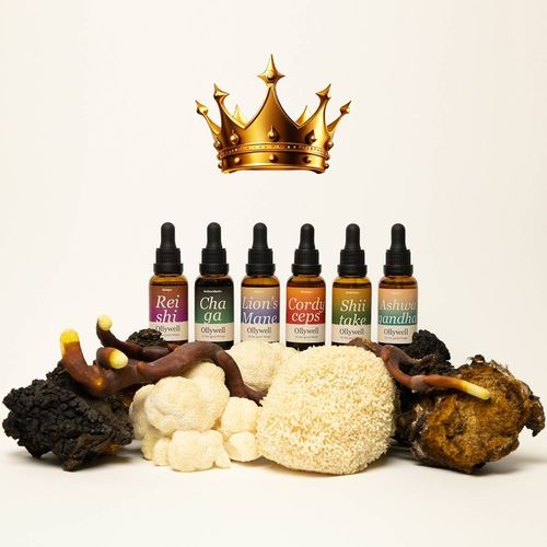 Polska Soplówka jeżowata Ollywell Lion's Mane Krople Moc Ekstrakt Adaptogen na Arena.pl