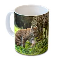 product-compare-60555829