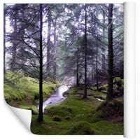 Fototapeta Las Natura ZIELEŃ Rzeka do Sypialni 135x90