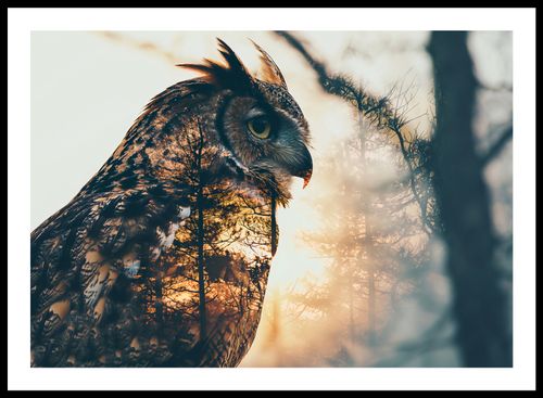 Plakat 66,5x46,5cm Sowi Duch na Arena.pl