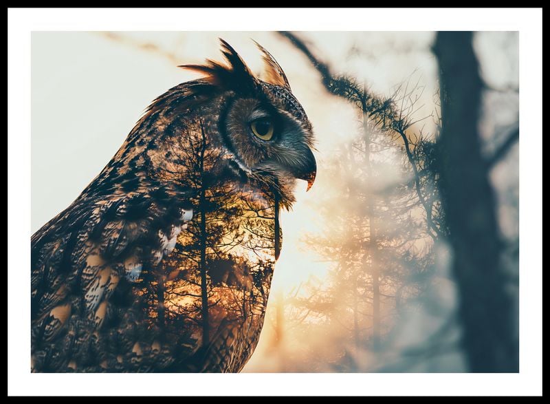 Plakat 66,5x46,5cm Sowi Duch zdjęcie 3