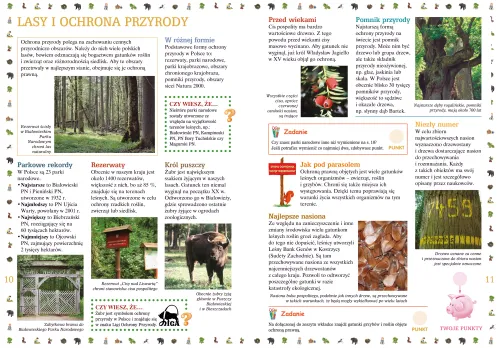 Co nam daje las na Arena.pl