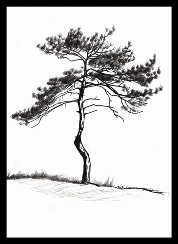 Plakat 25x35cm Samotna Sosna na Arena.pl