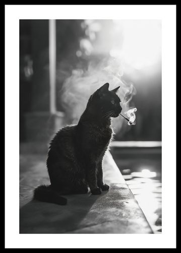 Plakat 30x45cm Kocia Przerwa na Arena.pl