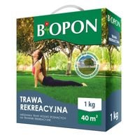 trawa rekreacyjna 1 kg - br bio-1112