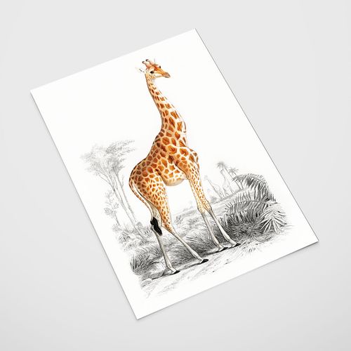 Plakat żyrafa ilustracja 21x29,7 cm A4 na Arena.pl
