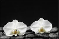 product-compare-58694176