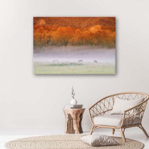 OBRAZ NA PŁÓTNIE Mgła Rykowisko Las na Arena.pl