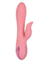 pasadena player pink