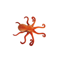 ND01_251747 Osmiornica 47cm 32461