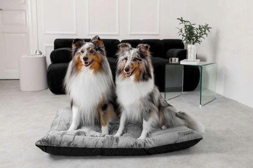 PLUSZOWE legowisko dla psa spanie łóżko Welsti duże 100x70 puszyste na Arena.pl