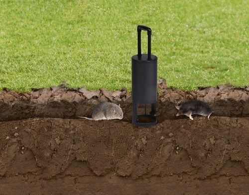 PUŁAPKA ŁAPKA KRETOŁAP CHWYTACZ NA KRETY I NORNICE NO PEST MOLE na Arena.pl