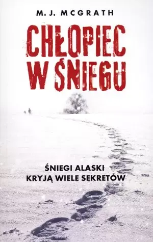 Chłopiec w śniegu zdjęcie 1