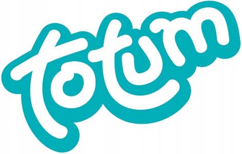 Totum zestaw kreatywny do robienia bransoletek Rainbow High dla dziewczynki na Arena.pl