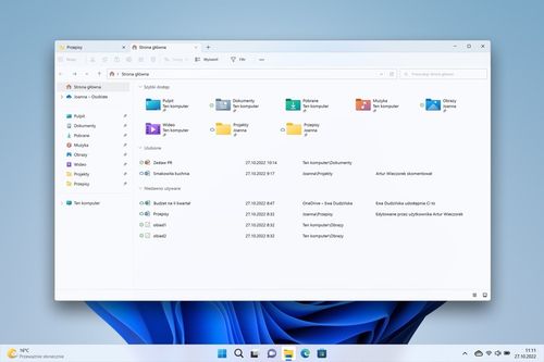 Program MICROSOFT Windows 11 Home Box na Arena.pl