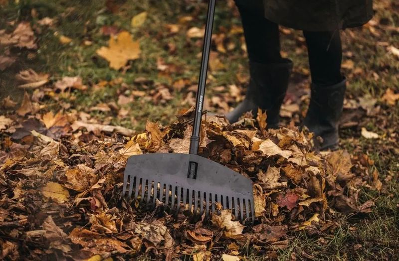 FISKARS GŁOWICA GRABI DO LIŚCI SOLID FS1063089 zdjęcie 2