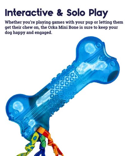 Petstages Orka Mini Kosteczka PS221 na Arena.pl