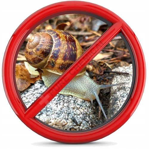 SIARCZAN ŻELAZA NAWÓZ DO TRAWY 25kg na Arena.pl