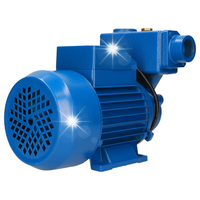 POMPA HYDROFOROWA SSĄCA WZI750 WZ 750W IBO WYDAJNA