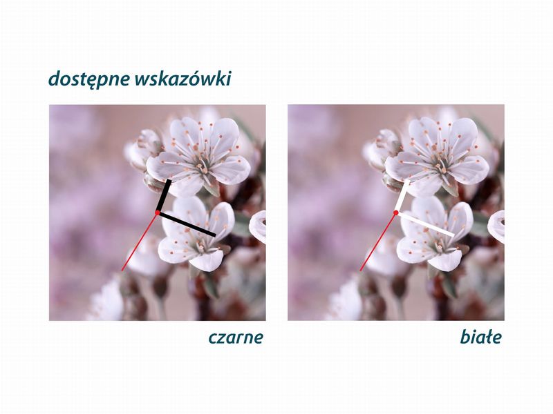 ZEGAR SZKLANY OKRĄGŁY - Orchidea zdjęcie 4