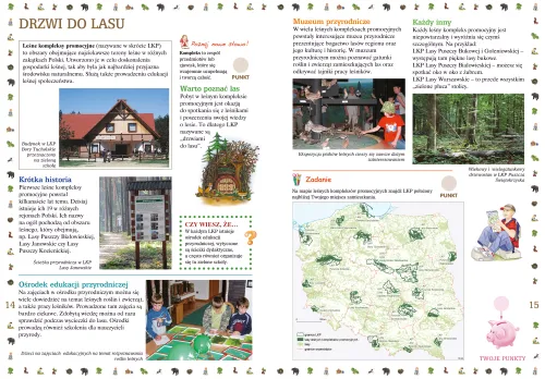 Co nam daje las na Arena.pl