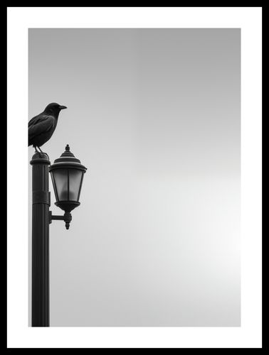 Plakat 64x90cm Samotny Postój Kruka na Arena.pl