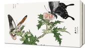Obraz 50x30cm Motyle i Kwiaty Ilustracja Morimoto Toko Japoński Vintage