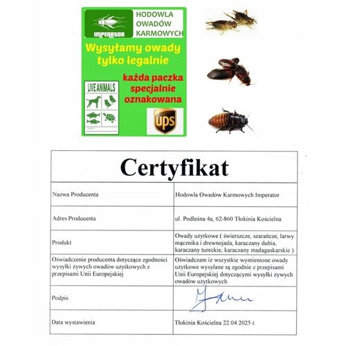 Mącznik młynarek - 1000 ml, 1 litr + legalna wysyłka na Arena.pl