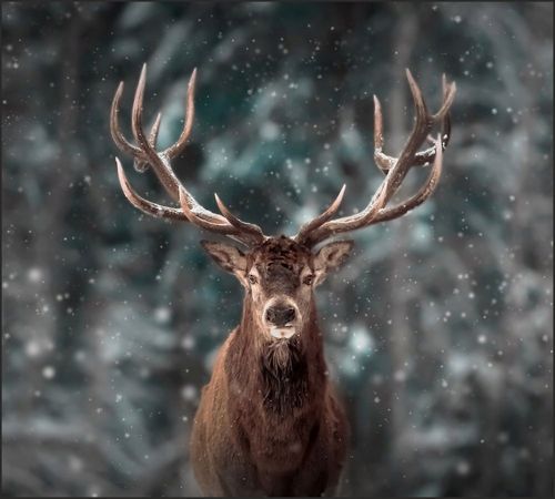 Tło do fotografii produktowej kulinarnej Flat Lay na Arena.pl