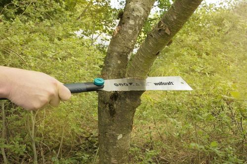 WOLFCRAFT Piła japońska do drewna listw 240mm dwustronna precyzyjna na Arena.pl