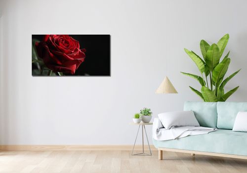 Obraz 100x50cm Róża w Półcieniu na Arena.pl