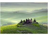 product-compare-58709866