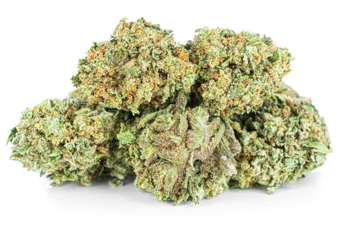 Susz konopny Amnesia Haze CBD Exclusive Weed 1000g na Arena.pl