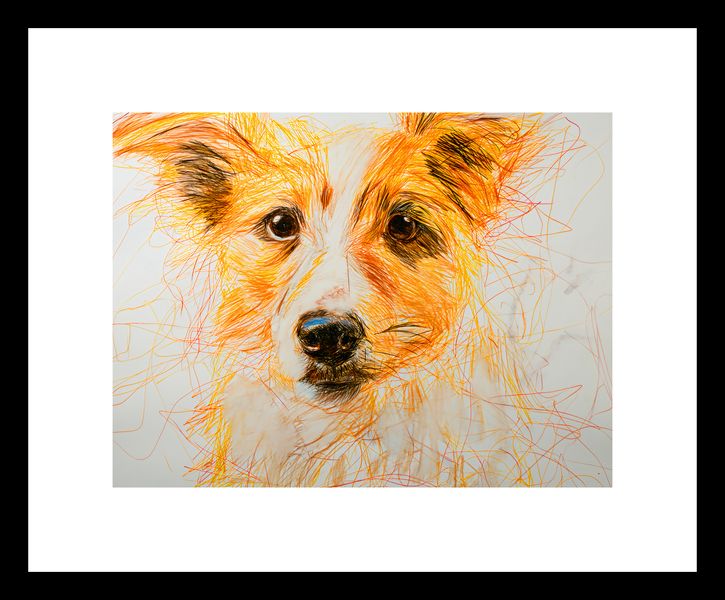 Plakat 20x15cm Uroczy Gość zdjęcie 3