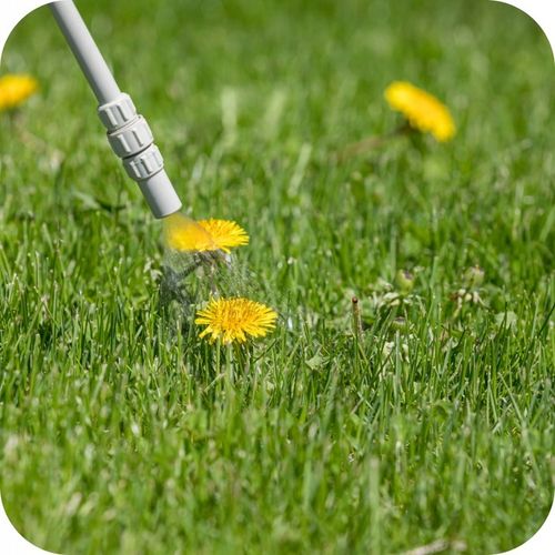 Monsanto Roundup Plus 360 SL 5l Chwasty Randap na Arena.pl