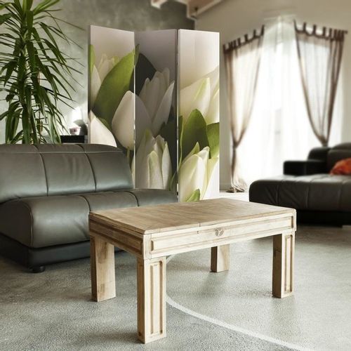 Parawan ozdobny, Tulipany 110x150 na Arena.pl