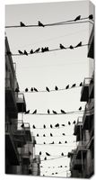 Obraz 50x100cm Miejski Motyw z Ptakami