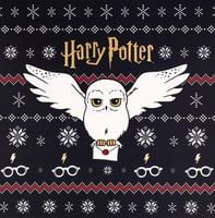 ELOY HARRY POTTER KALENDARZ ADWENTOWY Z BIŻUTERIĄ 24 ELEMENTY 1 SZT