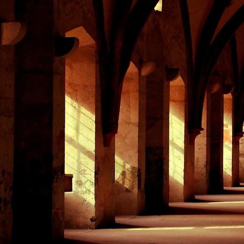 Deco Panel, Filary katedry 90x60 na Arena.pl