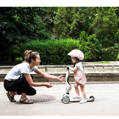 Jeździk i Hulajnoga Scootandride 2W1 Ash Highwaykick 1 na Arena.pl