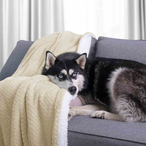 BLA/AH/SHLEEPY/BEIGE/70X150 zdjęcie 12