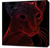 Obraz 60x60cm Cyfrowa Kocica