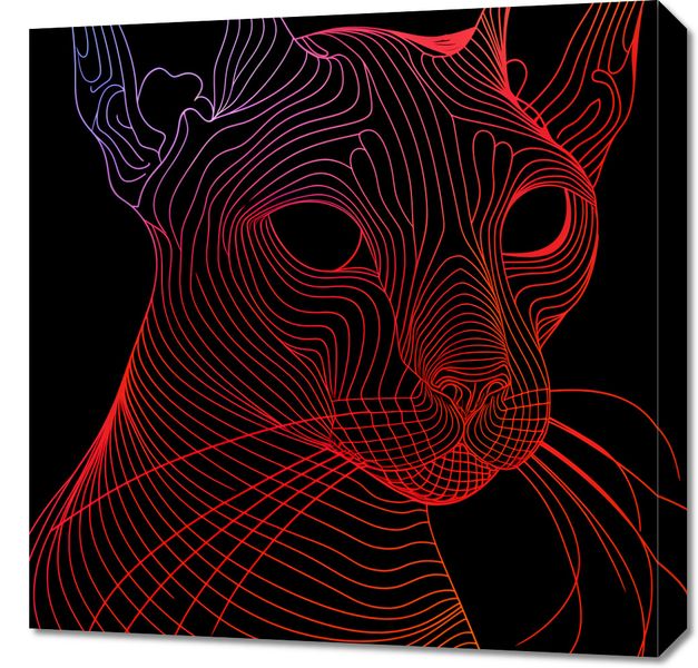 Obraz 60x60cm Cyfrowa Kocica zdjęcie 1