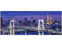 100X40CM ZATOKA TOKIJSKA OBRAZ DREWNO